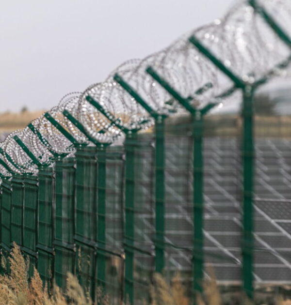 solar-power-station-protected-from-road-by-barbed-2026-01-05-22-59-23-utc-1-scaled-636x954